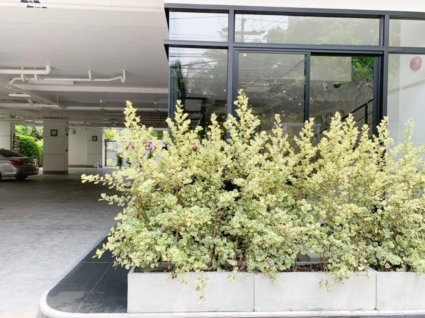 Pacific Residence 39 Bangkok Exterior photo
